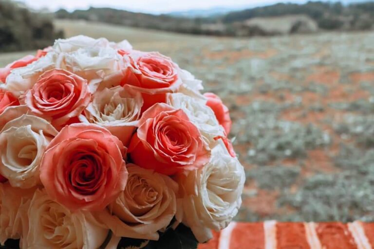 A bouquet of pink and white roses with a blurred outdoor background.