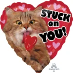 Stuck On You Balloon